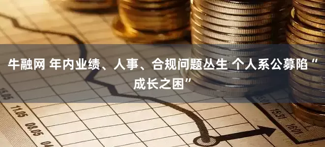 牛融网 年内业绩、人事、合规问题丛生 个人系公募陷“成长之困”