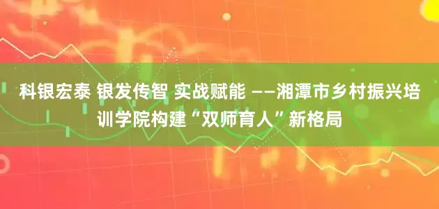 科银宏泰 银发传智 实战赋能 ——湘潭市乡村振兴培训学院构建“双师育人”新格局