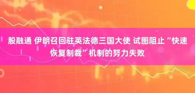 股融通 伊朗召回驻英法德三国大使 试图阻止“快速恢复制裁”机制的努力失败